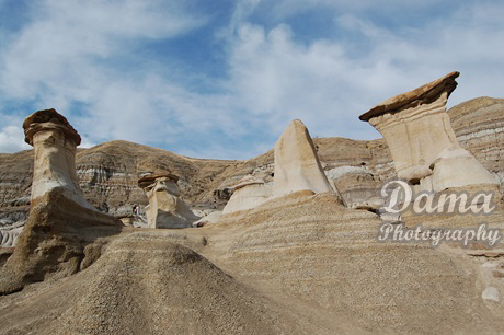 Hoodoos , Drumheller badlands, Dinosaur Valley, Red Deer River valley, Alberta Canada