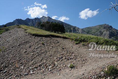 Rocky Mountain landscape, Waterton Lakes National Park