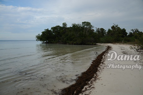 Caribbean seashore on a cloudy day. Jutia key, Pinar del Rio, Cuba