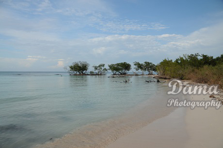 Seashore of Jutia Key, Pinar del Rio, Cuba