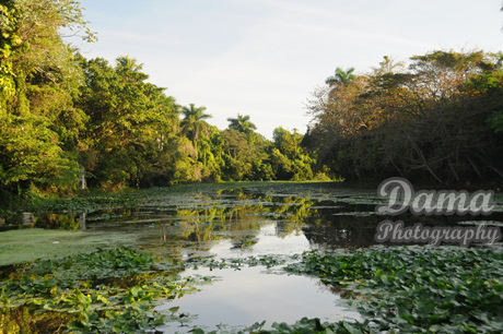 The highly polluted Ariguanabo river, San Antonio de los Baños, Artemisa, Cuba