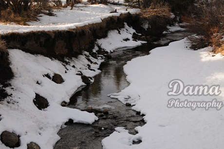 Winter, Brag Creek, Alberta, Canada